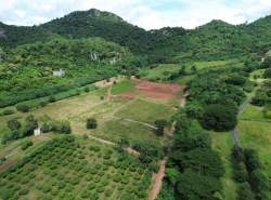 รถมือสอง อสังหาริมทรัพย์ ที่ดิน ปี 0 