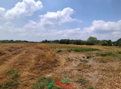 รถมือสอง อสังหาริมทรัพย์ ที่ดิน ปี 0 