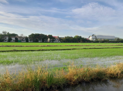 รถมือสอง อสังหาริมทรัพย์ ที่ดิน ปี 0 