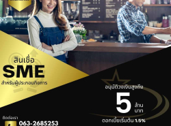 สินเชื่อเพื่อธุรกิจSME STAR LOAN