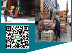 รถมือสอง ประกาศทั่วไป รถยนต์ ปี 0 