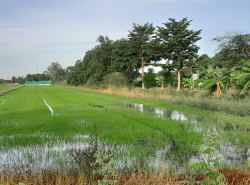 รถมือสอง อสังหาริมทรัพย์ ที่ดิน ปี 0 