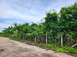 รถมือสอง อสังหาริมทรัพย์ ที่ดิน ปี 0 