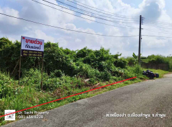ขายที่ดิน จามเทวี ซ.10 ใกล้ รพ.ลำพูน เนื้อที่ 334.8 ตร.ว. บรรยากาศดีมา
