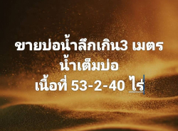 ขายที่ดินแหล่งผลิตน้ำ ลึกเกิน 3 เมตร 53 ไร่ 2 งาน  40 ตารางวา ชลบุรี