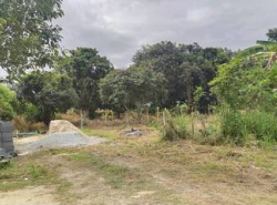 รถมือสอง อสังหาริมทรัพย์ ที่ดิน ปี 0 