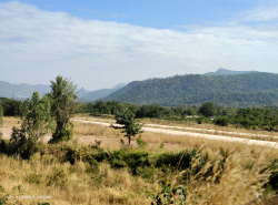 รถมือสอง อสังหาริมทรัพย์ ที่ดิน ปี 0 