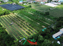 รถมือสอง อสังหาริมทรัพย์ ที่ดิน ปี 0 