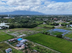 ขายที่ดินเปล่า 999,000 บาท 1-4-05 ตรว. #หนองแฝก สารภี วิวทุ่งนา #วิวภูเขา บรรยากาศดี ติดถนน 2 ด้าน อยู่ในชุมชน เข้าเมืองเพียง 20 นาที