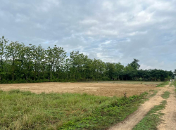 รถมือสอง อสังหาริมทรัพย์ ที่ดิน ปี 0 