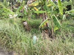 รถมือสอง อสังหาริมทรัพย์ ที่ดิน ปี 0 