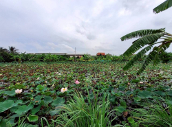 รถมือสอง อสังหาริมทรัพย์ ที่ดิน ปี 0 