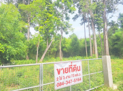 รถมือสอง อสังหาริมทรัพย์ ที่ดิน ปี 0 
