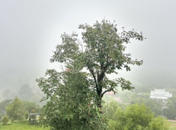 รถมือสอง อสังหาริมทรัพย์ ที่ดิน ปี 0 