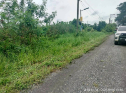 รถมือสอง อสังหาริมทรัพย์ ที่ดิน ปี 0 