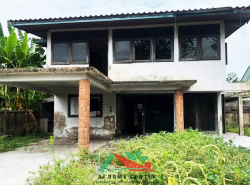 รถมือสอง อสังหาริมทรัพย์ ที่ดิน ปี 0 