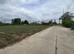 รถมือสอง อสังหาริมทรัพย์ ที่ดิน ปี 0 