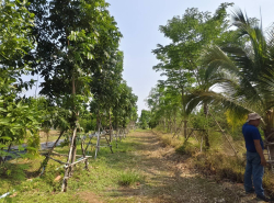 รถมือสอง อสังหาริมทรัพย์ ที่ดิน ปี 0 