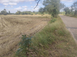 ขายที่นา น.ส.3ก. เจ้าของขายเอง  ตำบลข้าวปุ้น อำเภอกุดข้าวปุ้น อุบลราชธานี