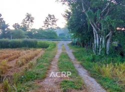 ขายที่ดินเปล่าแปลงสวย ต.แม่แฝก อ.สันทราย จ.เชียงใหม่ 