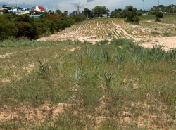 รถมือสอง อสังหาริมทรัพย์ ที่ดิน ปี 0 