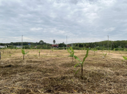 รถมือสอง อสังหาริมทรัพย์ ที่ดิน ปี 0 