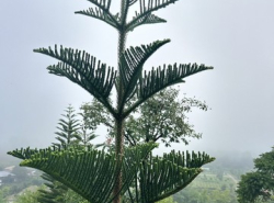 รถมือสอง อสังหาริมทรัพย์ ที่ดิน ปี 0 