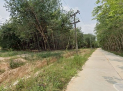 ขายที่ดินแปลงใหญ่ 7 โฉนด ผังเมืองสีม่วงลาย กะเฉด เมืองระยอง TP-L0881