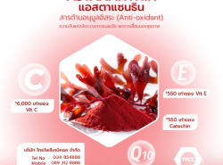 ประกาศทั่วไป - อื่นๆทั่วไป