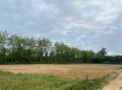 รถมือสอง อสังหาริมทรัพย์ ที่ดิน ปี 0 