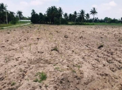รถมือสอง อสังหาริมทรัพย์ ที่ดิน ปี 0 