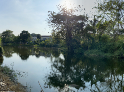 รถมือสอง อสังหาริมทรัพย์ ที่ดิน ปี 0 