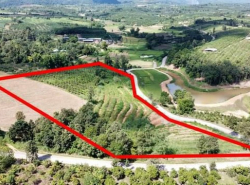 Land for sale Phrao District Chiang Mai 19.5 rai  mountain view suitable for a resort forest garden (chiness)