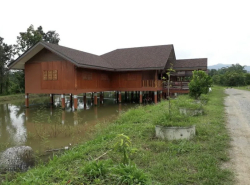 รถมือสอง อสังหาริมทรัพย์ ที่ดิน ปี 0 