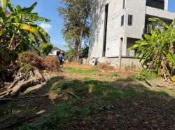 รถมือสอง อสังหาริมทรัพย์ ที่ดิน ปี 0 