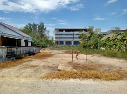 ขาย ที่ดิน  ต.ปึกเตียน อ.ท่ายาง จ.เพชรบุรี   PAPC2_0009 G01_S1