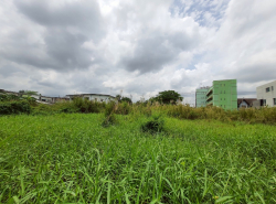 รถมือสอง อสังหาริมทรัพย์ ที่ดิน ปี 0 