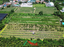รถมือสอง อสังหาริมทรัพย์ ที่ดิน ปี 0 