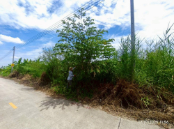 รถมือสอง อสังหาริมทรัพย์ ที่ดิน ปี 0 
