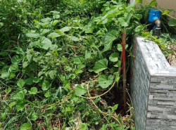 รถมือสอง อสังหาริมทรัพย์ ที่ดิน ปี 0 