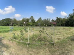 รถมือสอง อสังหาริมทรัพย์ ที่ดิน ปี 0 