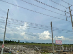 ขายที่ดินแปลงสวย 5 ไร่ 3งาน ถนน 346 แยกไทรน้อย-บางเลน