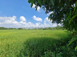 รถมือสอง อสังหาริมทรัพย์ ที่ดิน ปี 0 