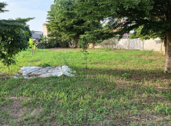 รถมือสอง อสังหาริมทรัพย์ ที่ดิน ปี 0 