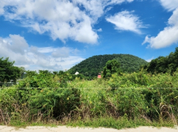 รถมือสอง อสังหาริมทรัพย์ ที่ดิน ปี 0 