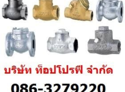 วาล์วทองเหลือง สวิงเช็ควาล์ว วูซังวาล์ว เช็ควาล์ว แพนเช็ควาล์ว เช็ควาล