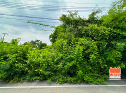 รถมือสอง อสังหาริมทรัพย์ ที่ดิน ปี 0 