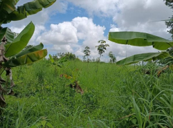 รถมือสอง อสังหาริมทรัพย์ ที่ดิน ปี 0 