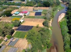 ที่ดินติดแม่น้ำปิง พื้นที่สีเหลี่ยม สันโป่ง แม่ริม 