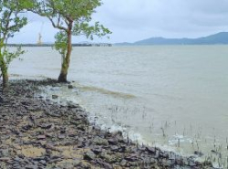 รถมือสอง อสังหาริมทรัพย์ ที่ดิน ปี 0 